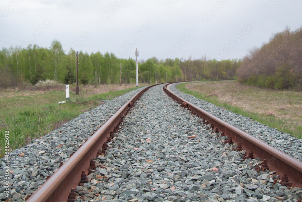Obraz premium Railroad tracks running into the woods in the distance