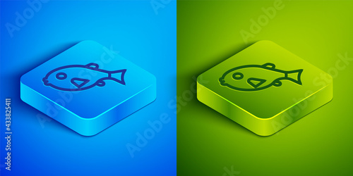Isometric line Tropical fish icon isolated on blue and green background. Exotic fish. Square button. Vector