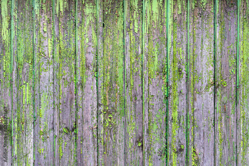 Background formed by a wall of wooden boards on which the remnants of old green paint. Background formed by a wall of wooden boards on which the remnants of old green paint.