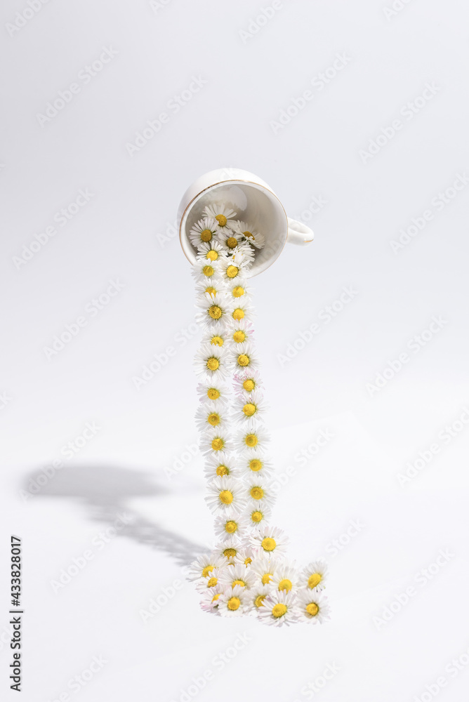 Obraz premium White cup and chamomile flowers on a white background. Chamomiles come out of a glass floating in the air. The concept of a healthy drink.