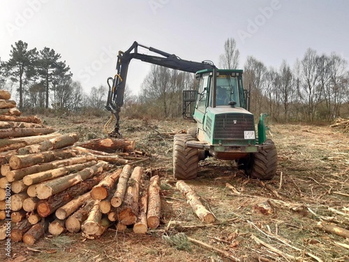 Máquina cargando madera en un monte de Galicia photo