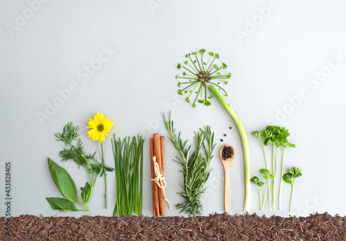 Summer herb salad garden co...