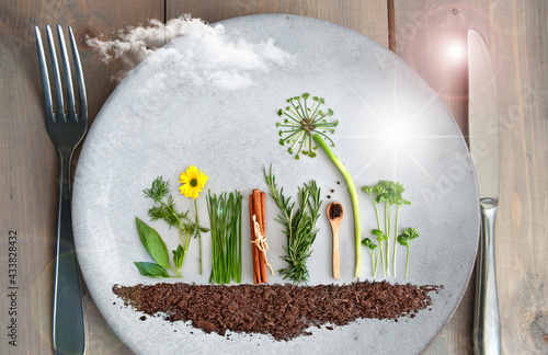 Organic summer herb salad g...