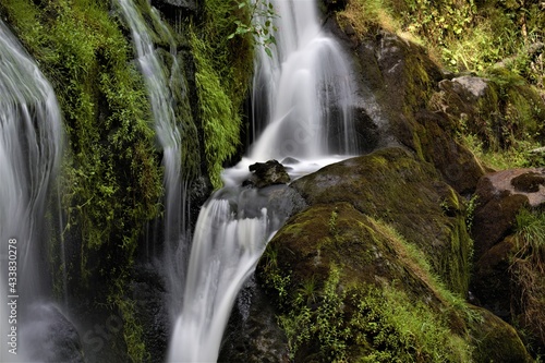 Fototapeta Naklejka Na Ścianę i Meble -  Triberg waterfall in a Germain forest called the Black Forest or Schwarzwald 