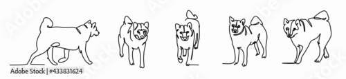 seth is a continuous line drawing of a Japanese Shikoku-inu dog in close-up. Banner, print for T-shirts