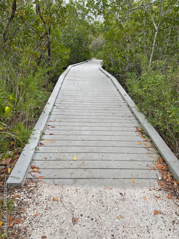 Fototapeta premium beach bridge