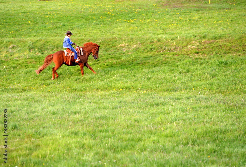 Ride on a wildeside. Frau auf Westernpferd im Abendlicht Ride on a wildeside. Frau auf Westernpferd im Abendlicht