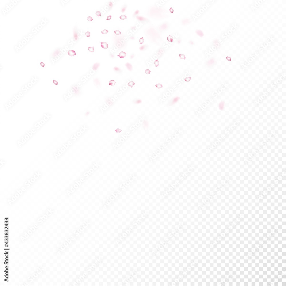 Cherry Sakura Blossom Confetti. Flying Japanese Sakura Cherry Rose
