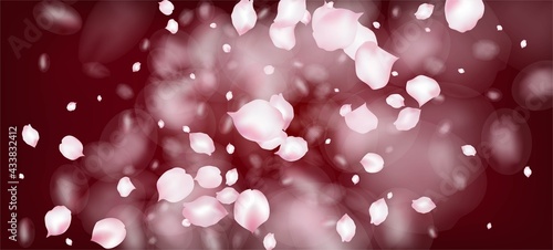 Cherry Sakura Petals Confetti. Falling Japanese Sakura Rose Cherry
