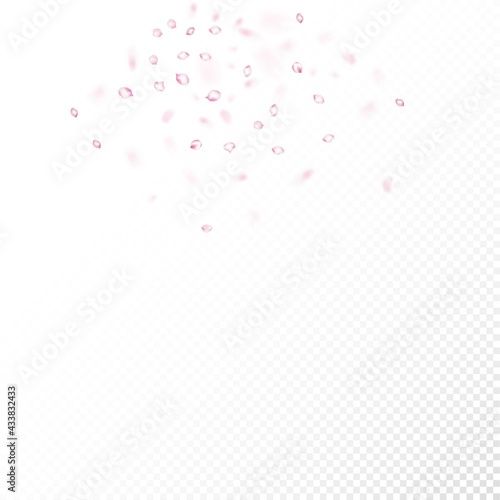 Cherry Sakura Blossom Confetti. Flying Japanese Sakura Cherry Rose
