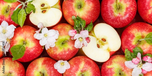Apples fruits red apple fruit background banner with leaves and blossoms