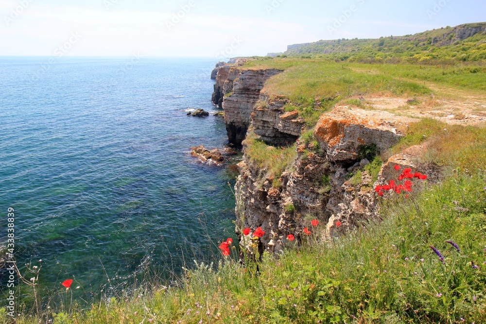 Red poppies, sea and rocky shore in the Yaylata Reserve (Bulgaria)
