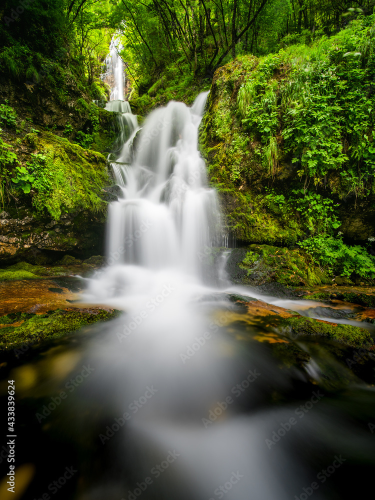 idyllic waterfall in the forest