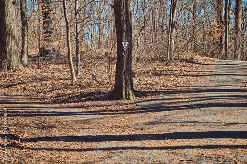 At a fork in the road