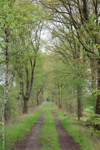 Wandern auf den Nordpfaden in Nordwest Deutschland   Hiking on the Nordpfade in northwestern Germany