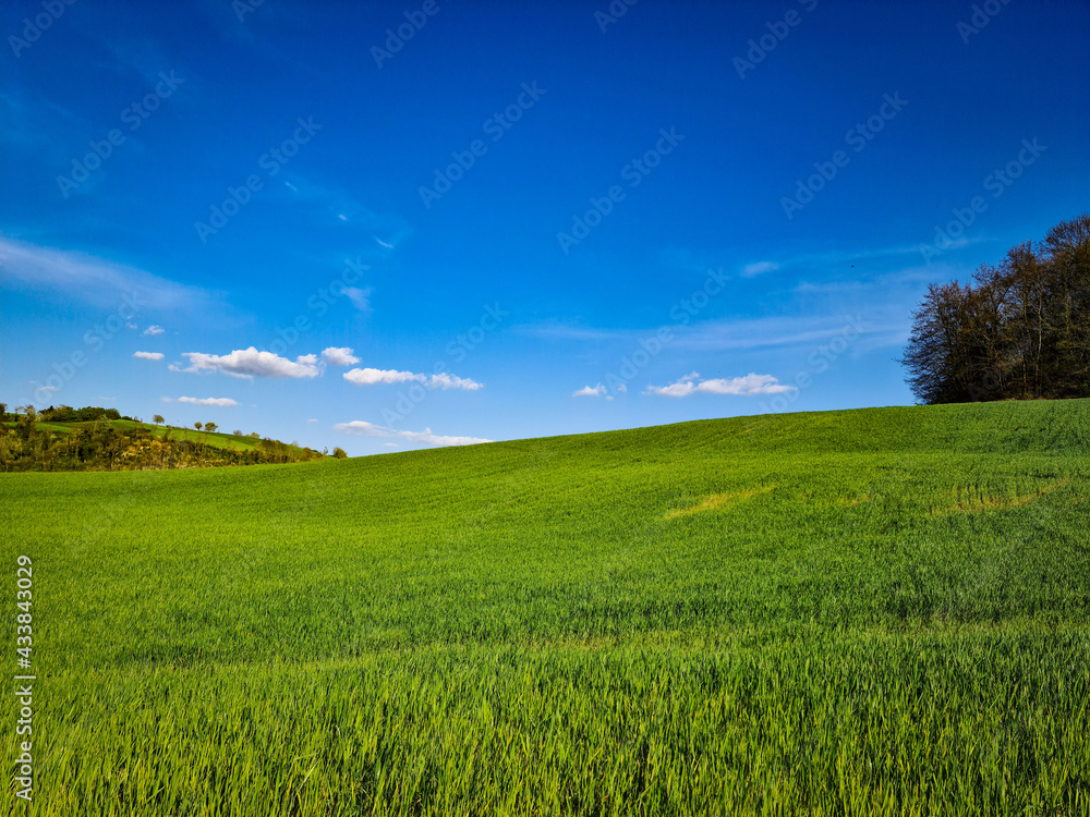 Fototapeta premium Le verdi colline umbre