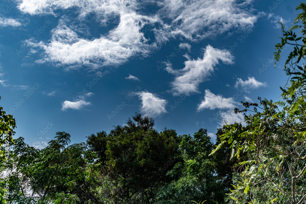Cielo Cielo