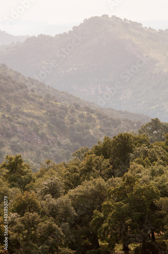 View of a beautiful mountain area full of vegetation in the natural park of Sierra de Grazalema, Cadiz, Spain.