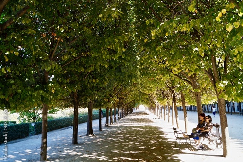 Two Women Talking in Beautiful Paris Gardens with Rows of Trees