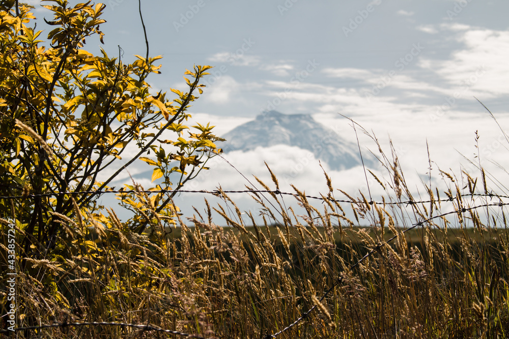Obraz premium Vegetación y cultivos cerca del Volcán Cotopaxi en Ecuador