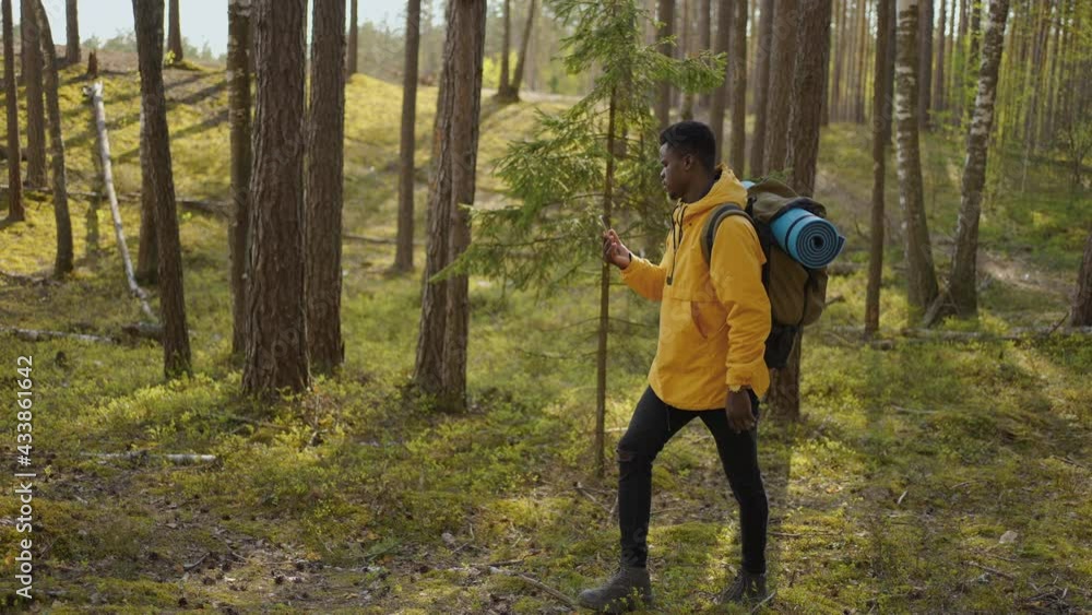 black men with Backpack Using Smartphone Gps. African american men Hiking In The Forest And Typing Message On Smartphone. Solo male hiker using smart phone. Male hiker takes smart phone of forest. black men with Backpack Using Smartphone Gps. African american men Hiking In The Forest And Typing Message On Smartphone. Solo male hiker using smart phone. Male hiker takes smart phone of forest.