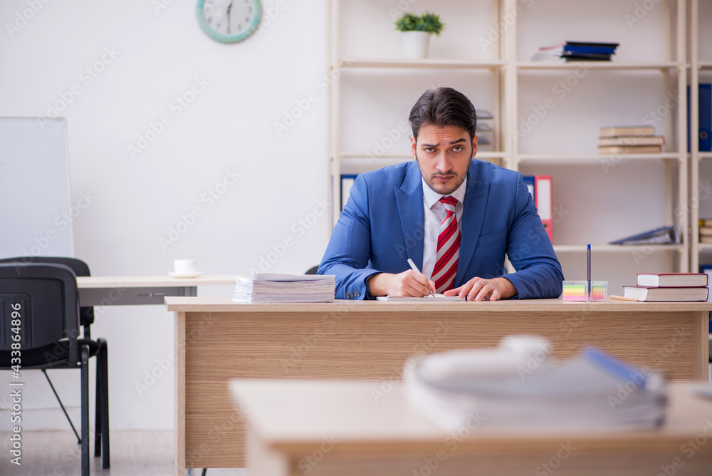 Young attractive employee working in the office Young attractive employee working in the office