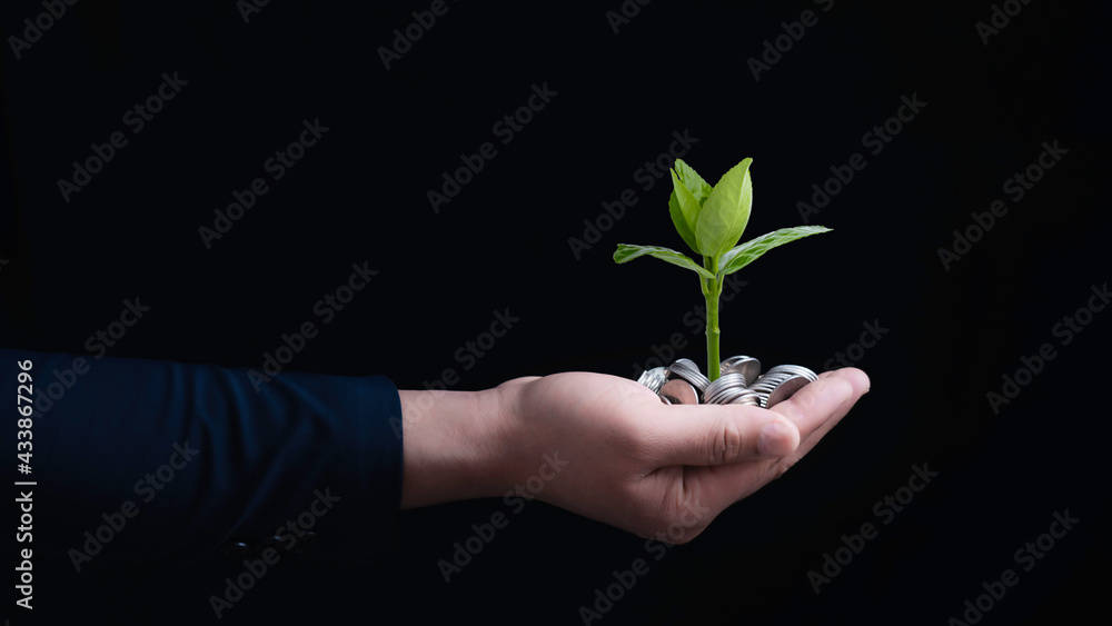 Human hands holding coin with small tree. Investment growth concept Human hands holding coin with small tree. Investment growth concept