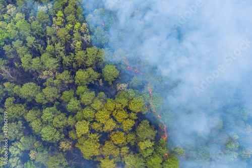 Fotografía Forest in California with panorama aerial wildfire is burning trees dry grass
