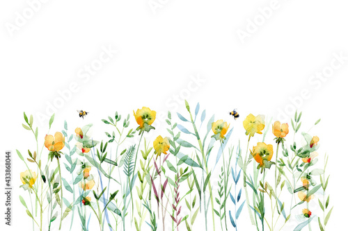 Watercolor natural field floral elements, decorative yellow floral composition isolated on white background, macro. Summer symbol for holiday, postcard, poster, banner, illustration and website