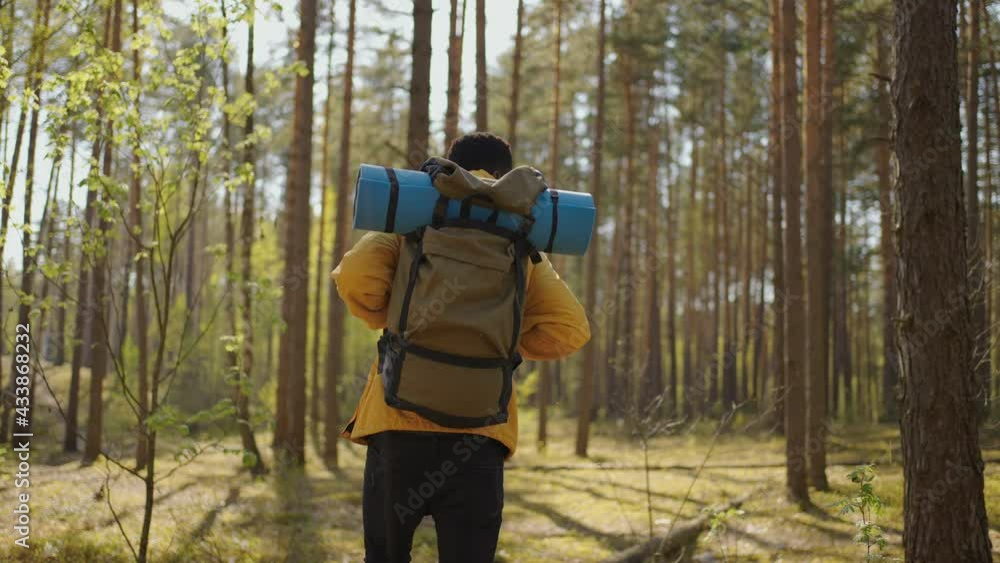 custom made wallpaper toronto digitalBlack african male hiking on trail up peaceful lush high elevation green forest with sun flares tracking shot from behind. Black Man hiking and exploring forest area