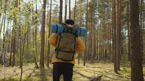 Wallpaper Mural Black african male hiking on trail up peaceful lush high elevation green forest with sun flares tracking shot from behind. Black Man hiking and exploring forest area Torontodigital.ca