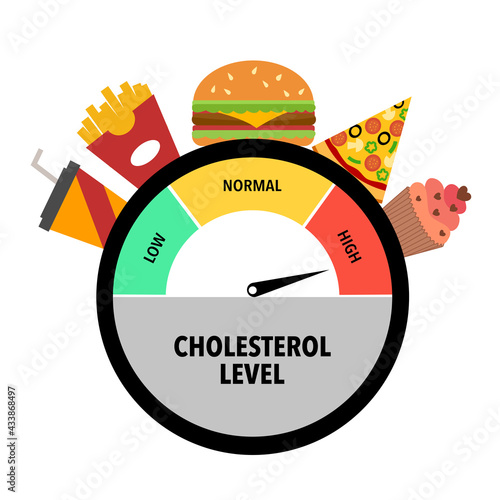 Unhealthy food with high cholesterol level - hamburger, pizza, fried food and sweet dessert in flat design on white background.