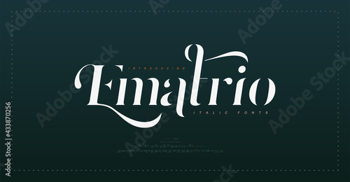 Luxury vintage alphabet letters italic font. Typography elegant classic lettering serif italic fonts decorative wedding retro concept. vector illustration