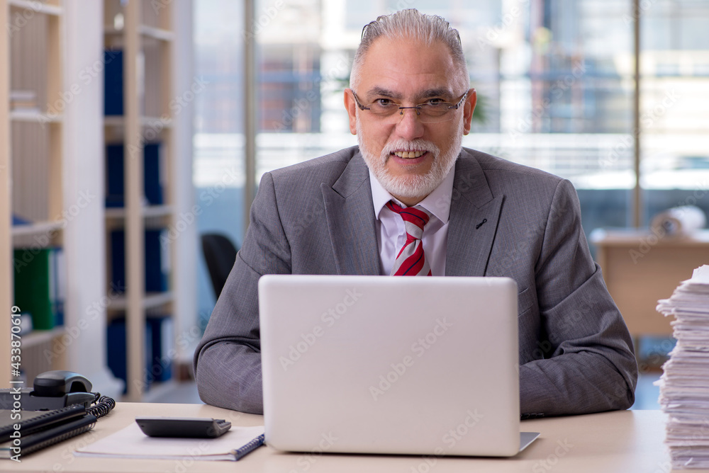 Aged businessman employee working in the office Aged businessman employee working in the office