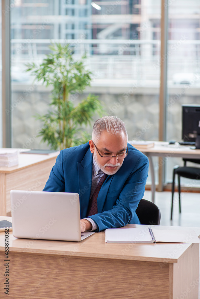 Old male boss employee working in the office Old male boss employee working in the office