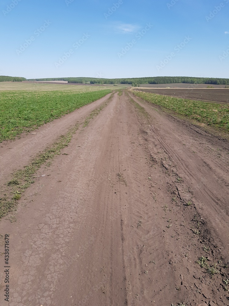 Fototapeta premium Dirt country road in a green field