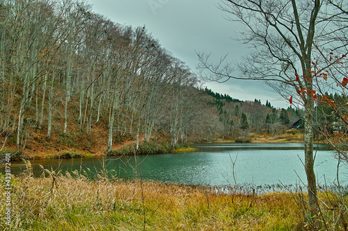 秋の五色沼（山形県西川町志津） photo