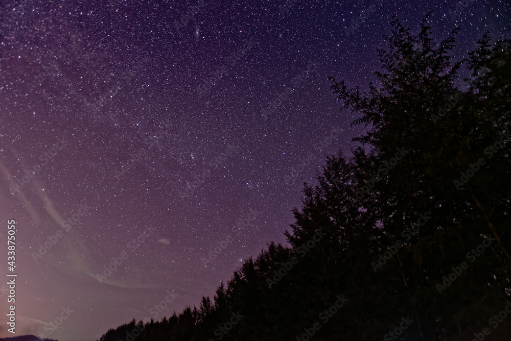 Purple night sky full of stars with Forest as background Purple night sky full of stars with Forest as background