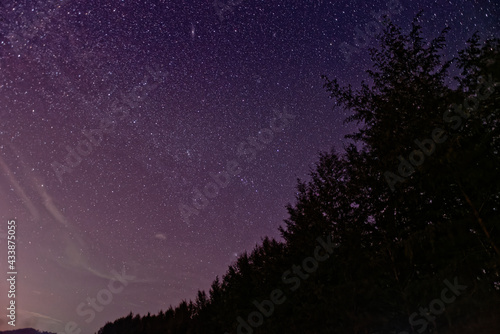 Purple night sky full of stars with Forest as background