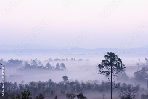 Sunrise in the mountains with white mist on the morning. Tung Salang Luang National Park Phetchabun Province in Thailand