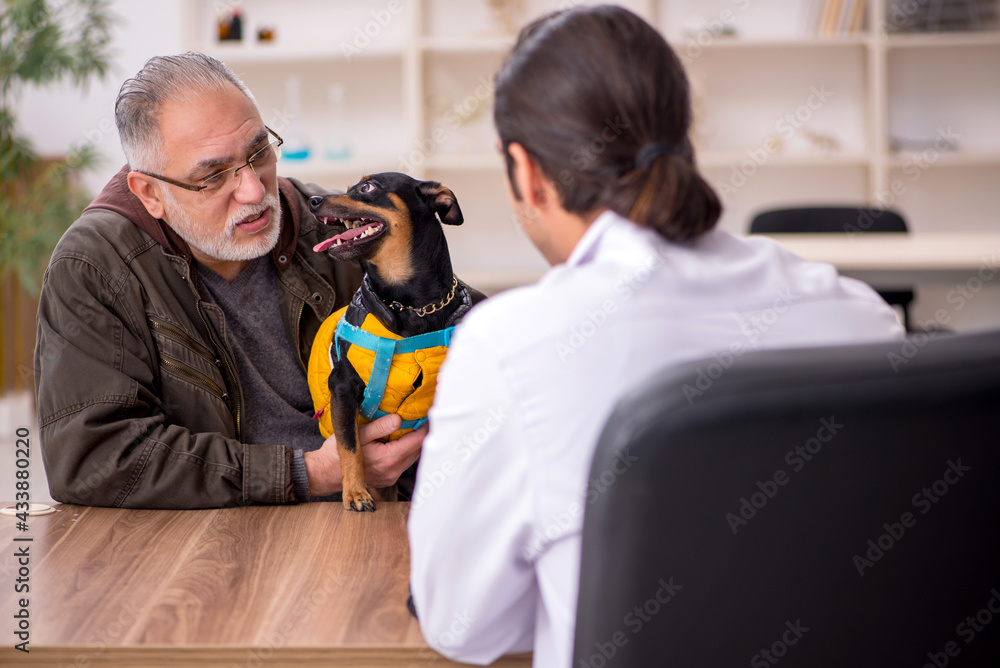 Young male doctor vet examining dog in the clinic Young male doctor vet examining dog in the clinic