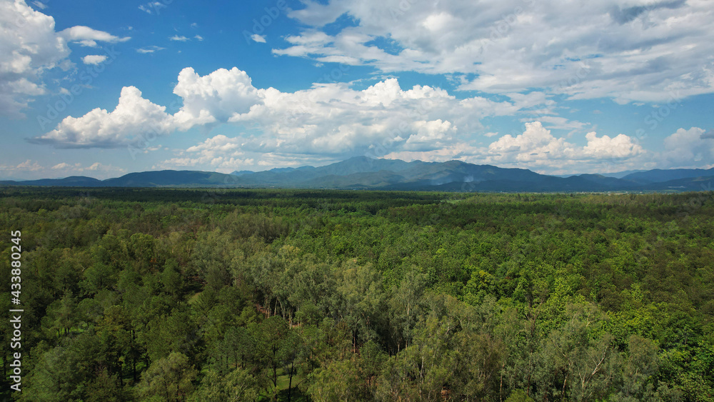 Aerial view of the forest and mountains by drone Aerial view of the forest and mountains by drone