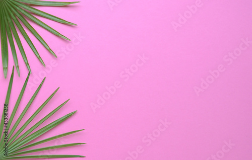 Tropical palm leaves on the side frame of pink background, with copy space.