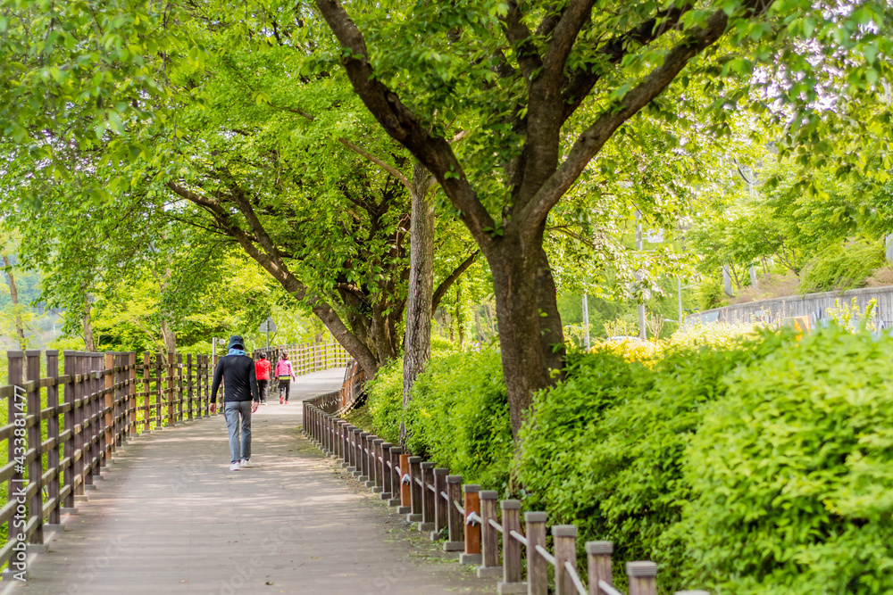 Unidentified people walking on boardwalk in local urban park. Unidentified people walking on boardwalk in local urban park.