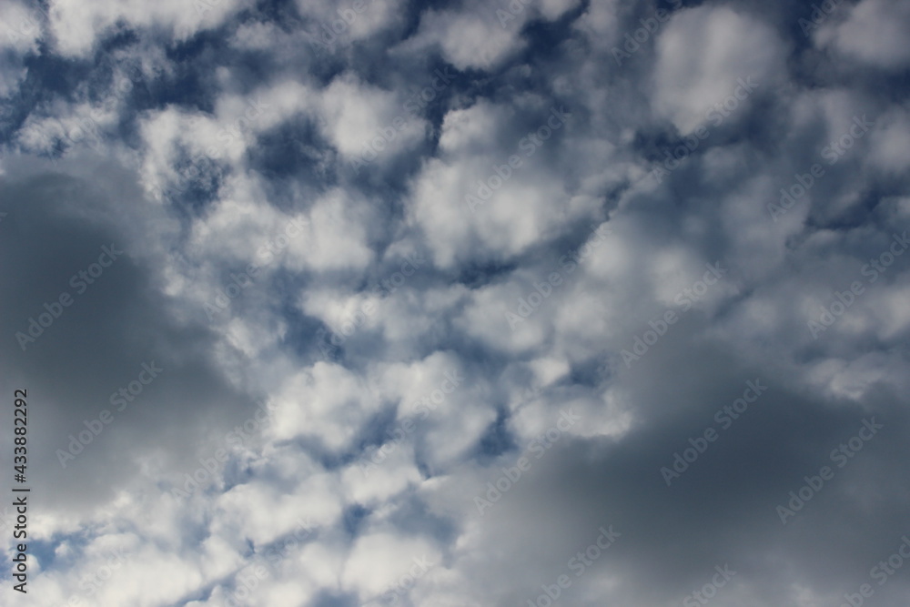 Obraz premium 空