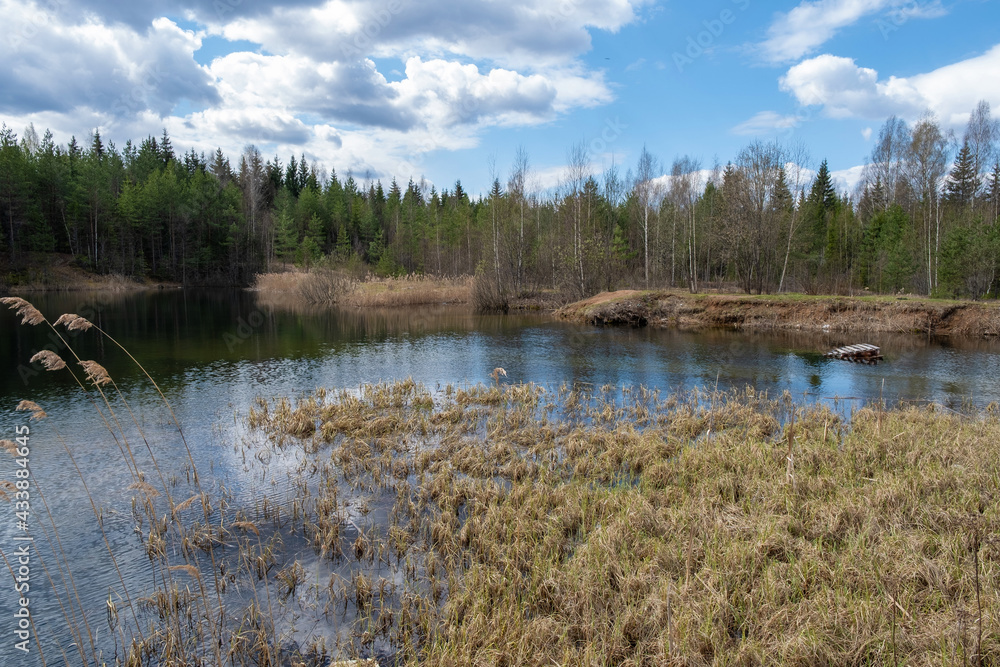 Landscape with a small forest lake on a sunny spring day.