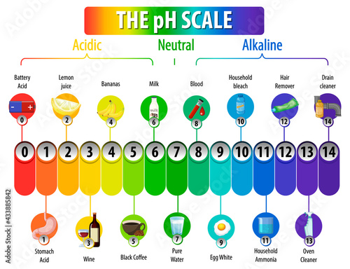 A pH scale on white background