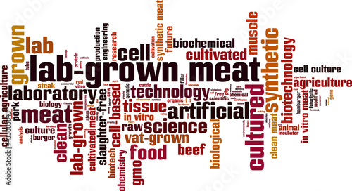 Lab-grown meat word cloud