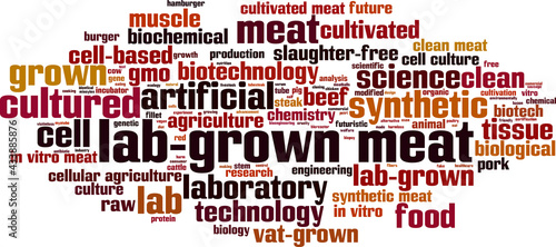 Obraz na płótnie Lab-grown meat word cloud w salonie