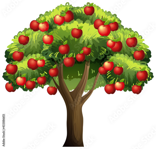 An apple tree isolated on white background